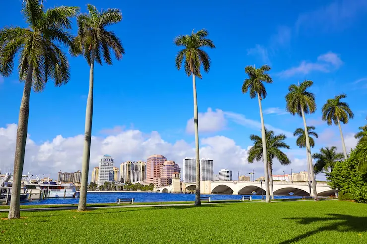 The Ocala, Florida skyline across the water, framed by palm trees on a sunny day