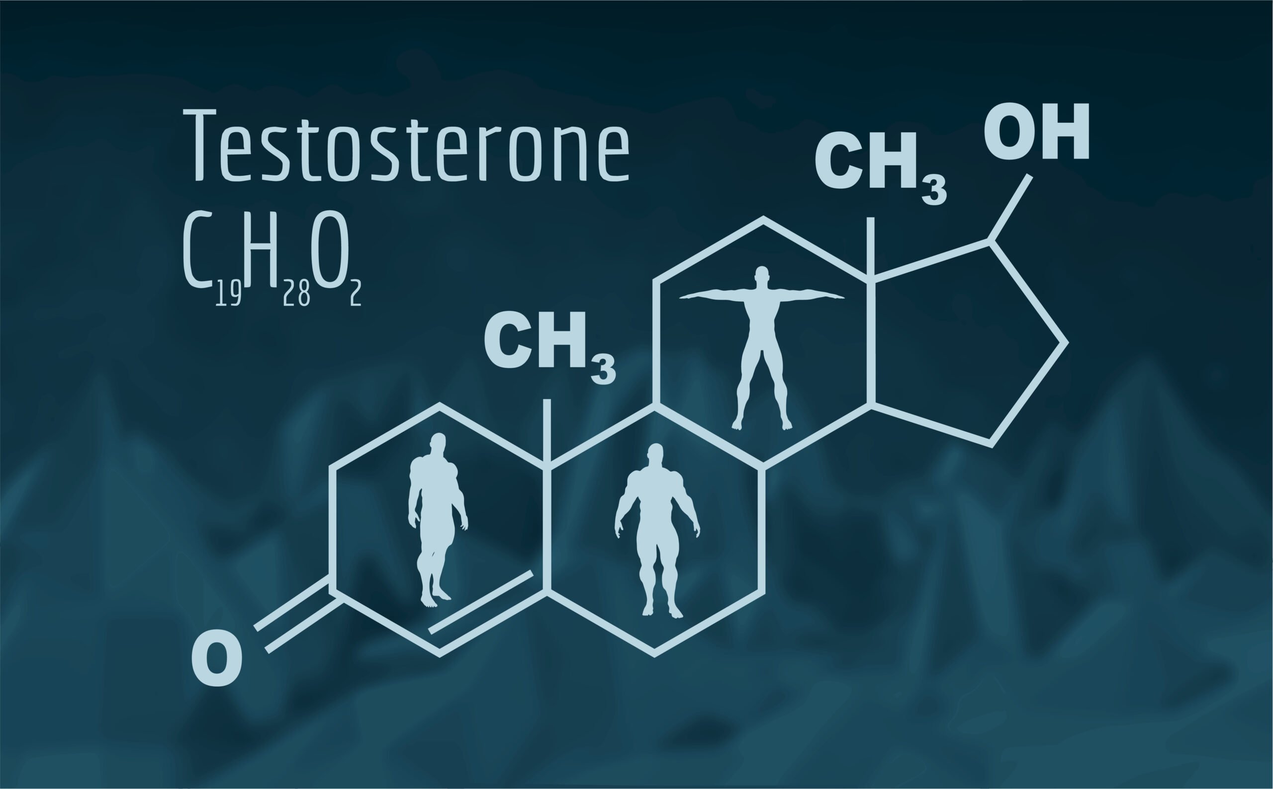Testosterone Graphic