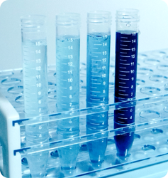 Paquete Peak Performance